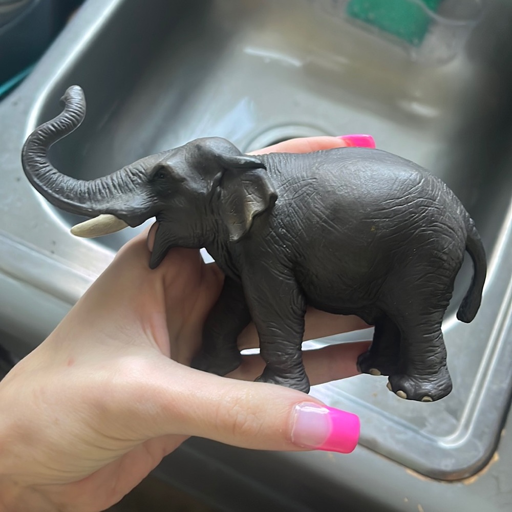 Elephant